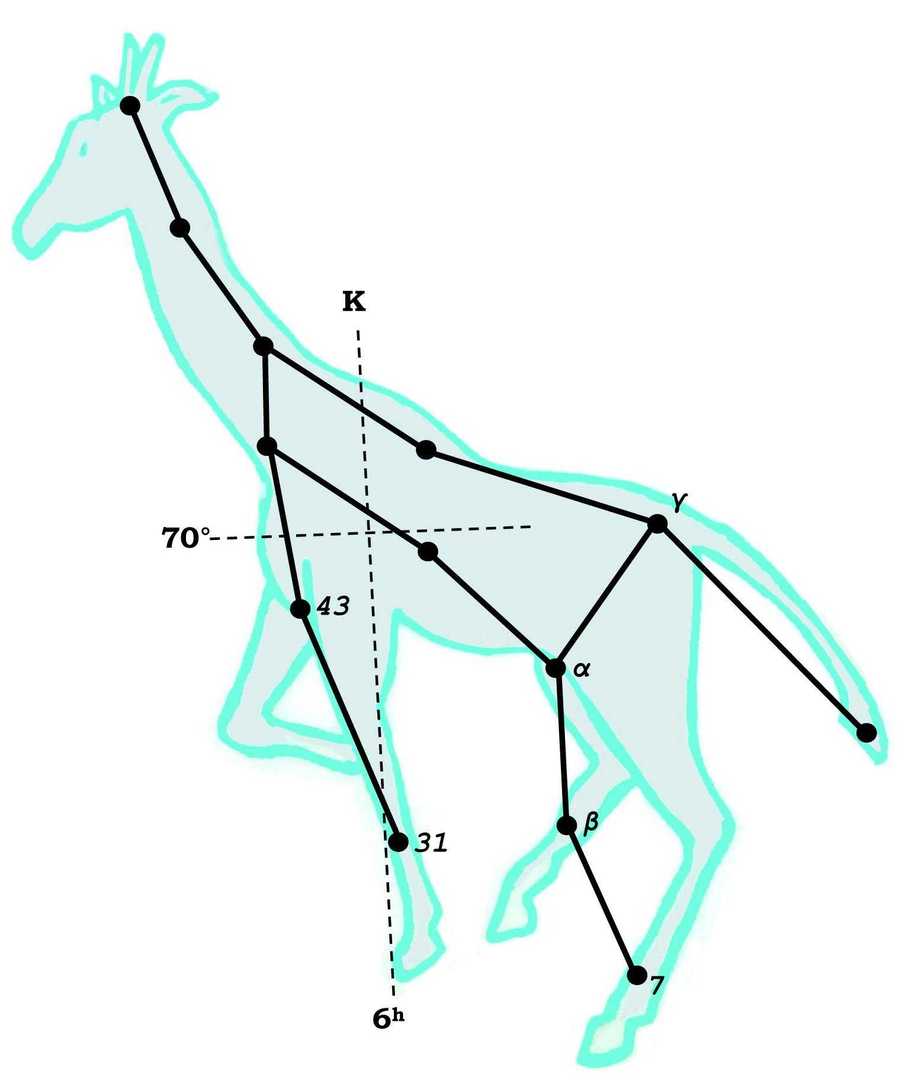 鹿豹座(camelopardalis)