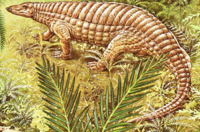 锹鳞龙stagonolepis