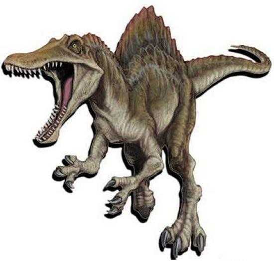 棘龙(属名:spinosaurus)意思为"有棘的蜥蜴",是种兽脚亚目恐龙