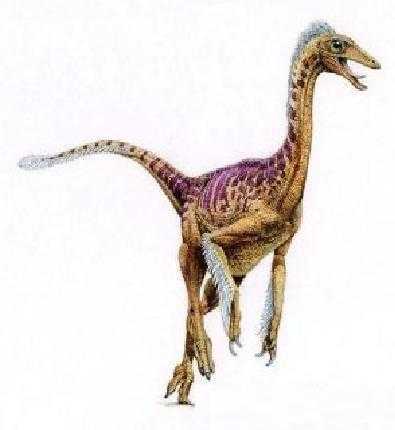 似鸵龙(struthiomimus)