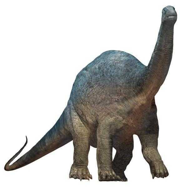 阿根廷龙argentinosaurus