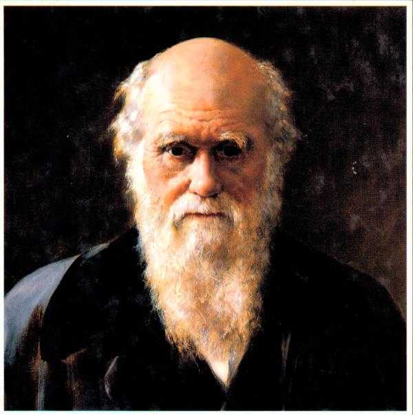 查尔斯罗伯特达尔文charlesrobertdarwin