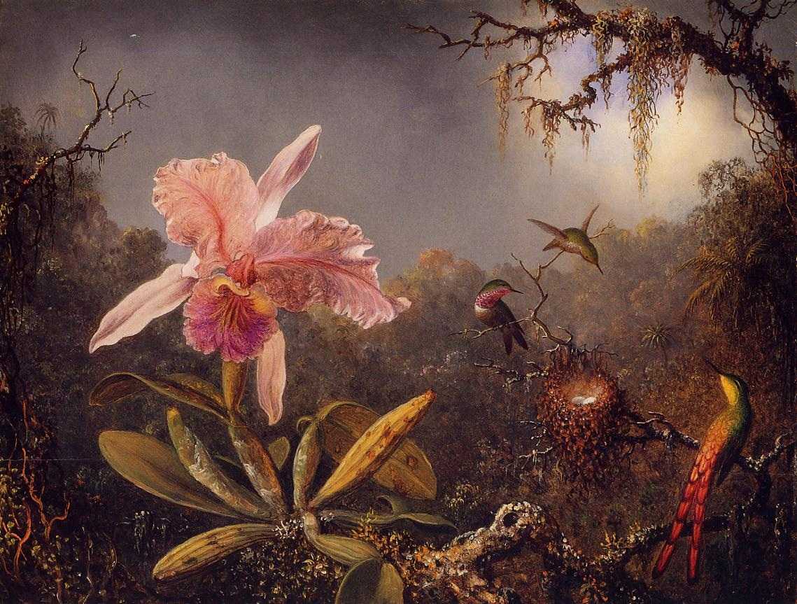 马丁·约翰逊·赫德(heade martin johnson)